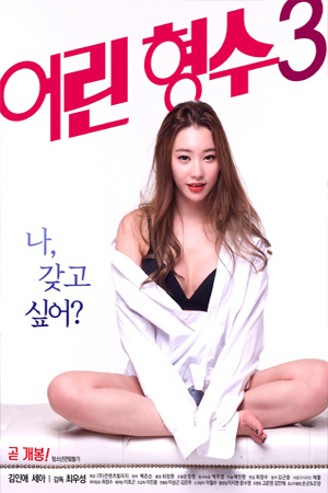 หนังอาร์เกาหลี Young Sister-In-Law 3 (2017) หนังอาร์ 18+